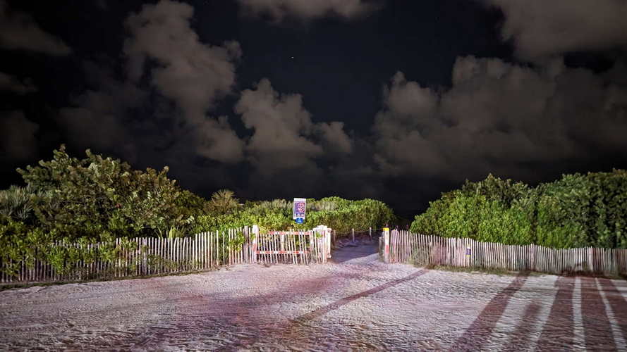 MIA_2023-08-23 21-43-38_PXL_20230824_014338763.NIGHT